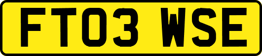 FT03WSE