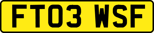 FT03WSF
