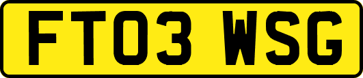 FT03WSG