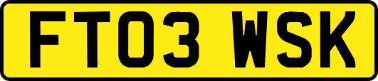 FT03WSK