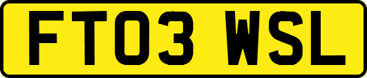 FT03WSL