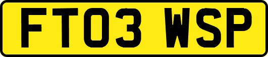 FT03WSP