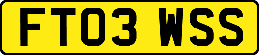 FT03WSS