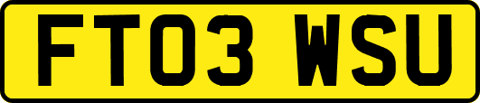 FT03WSU
