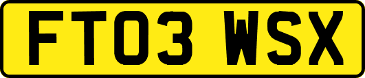 FT03WSX