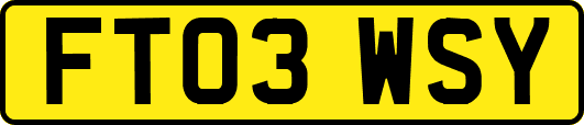 FT03WSY