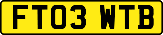 FT03WTB