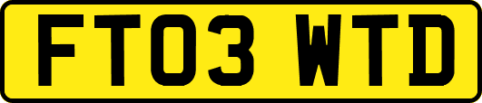 FT03WTD