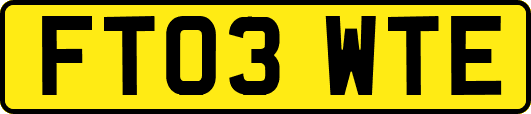 FT03WTE