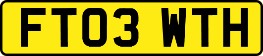 FT03WTH