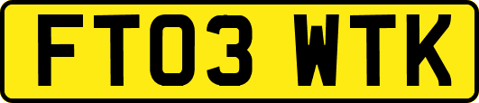 FT03WTK