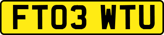 FT03WTU