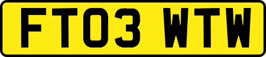 FT03WTW