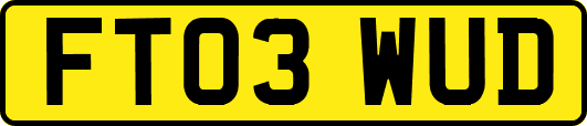 FT03WUD