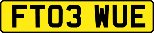 FT03WUE
