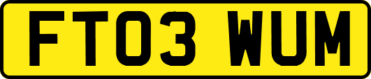 FT03WUM