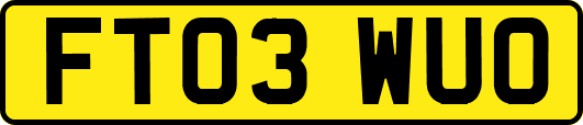 FT03WUO