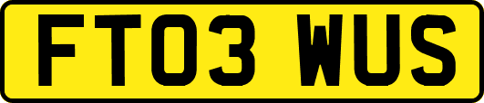 FT03WUS