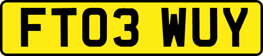 FT03WUY