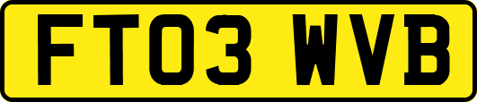 FT03WVB