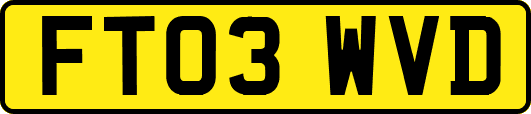 FT03WVD