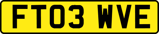 FT03WVE