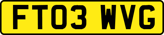 FT03WVG