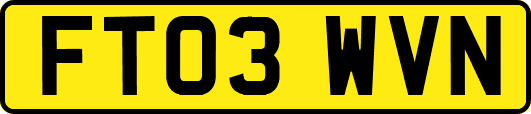 FT03WVN