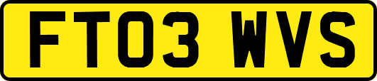 FT03WVS