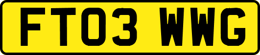 FT03WWG