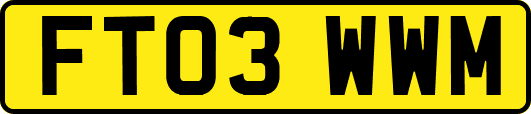 FT03WWM