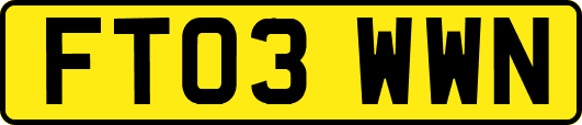 FT03WWN