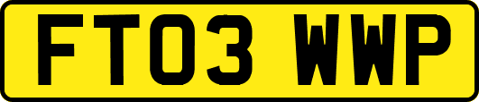 FT03WWP