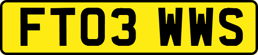FT03WWS