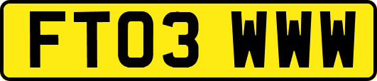 FT03WWW