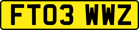 FT03WWZ