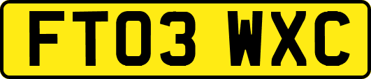 FT03WXC
