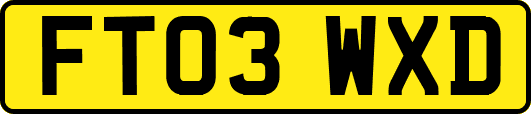 FT03WXD
