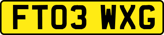 FT03WXG