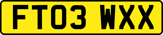 FT03WXX