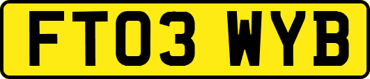 FT03WYB