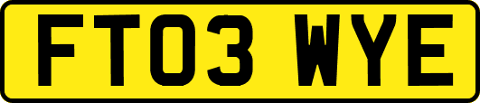 FT03WYE