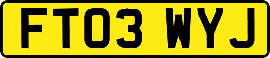 FT03WYJ