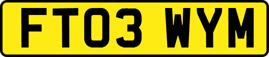 FT03WYM