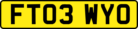 FT03WYO