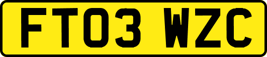 FT03WZC