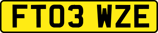 FT03WZE
