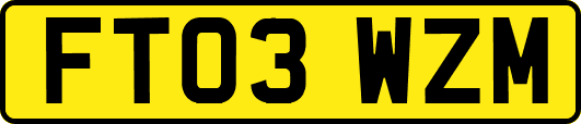 FT03WZM
