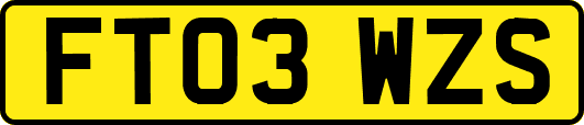 FT03WZS