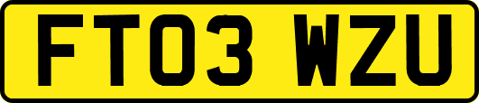 FT03WZU